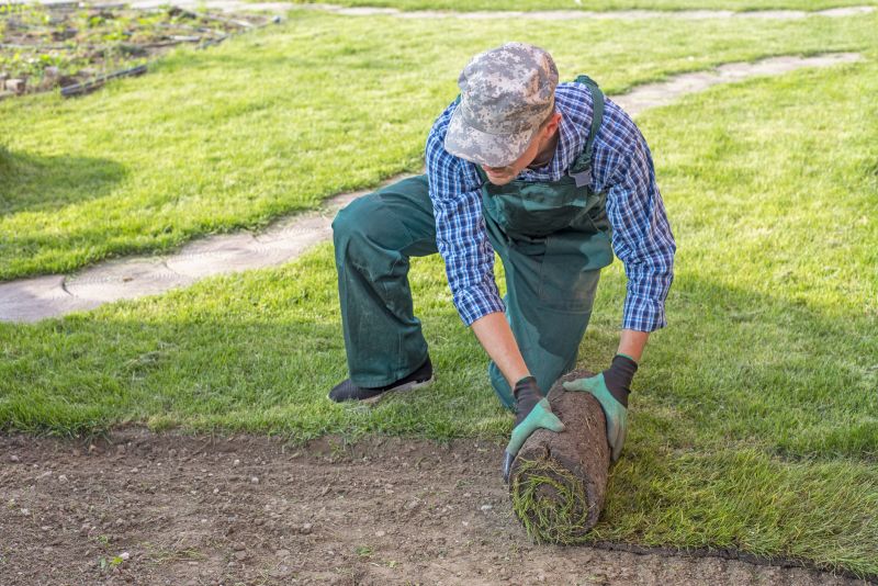 Contact About Sod Removal