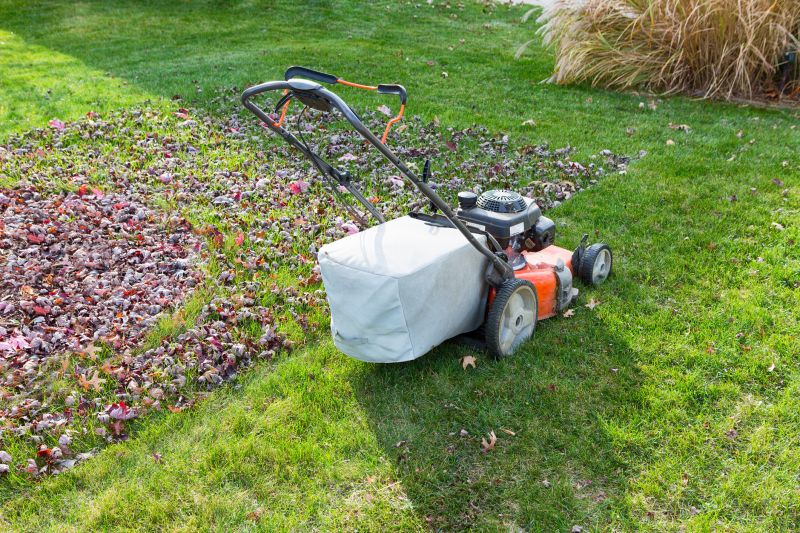 Fall Cleanup Equipment