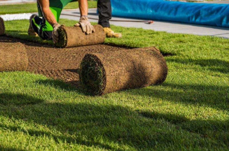Sod Removal