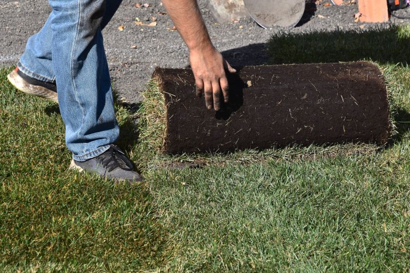 Healthy Sod for Removal