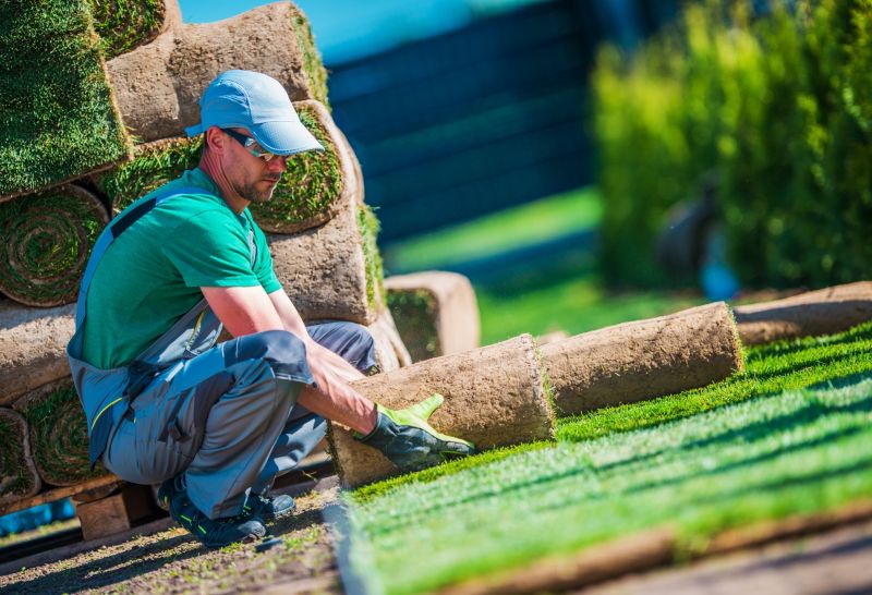 Dedicated Turf Removal Experts